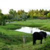 Massagekursus billet til en sanselig weekend - Image 12