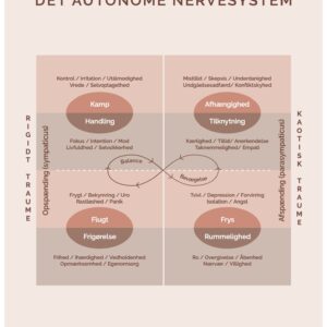 Det autonome nervesystem