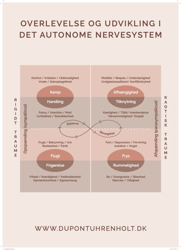 Det autonome nervesystem