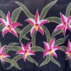 Sarong - Syv små dværge - Image 4